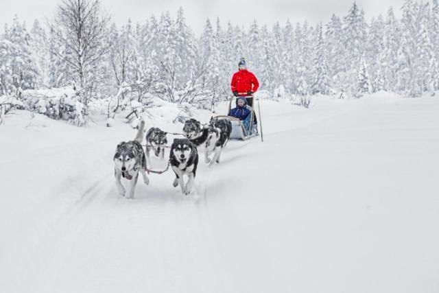 Дома для отпуска Rukankarhu Apartment II Рука-80