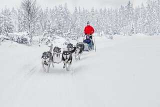 Дома для отпуска Rukankarhu Apartment II Рука Апартаменты с 2 спальнями и сауной-77
