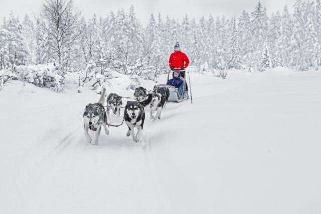 Дома для отпуска Rukankarhu Apartment II Рука-79